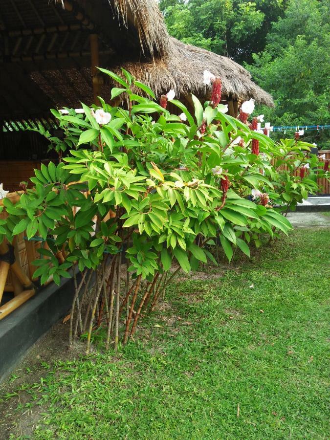 Tua Tua Keladi Bungalows Gili Air Bagian luar foto