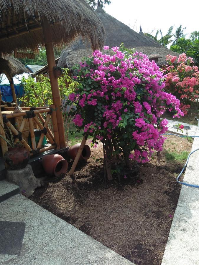 Tua Tua Keladi Bungalows Gili Air Bagian luar foto